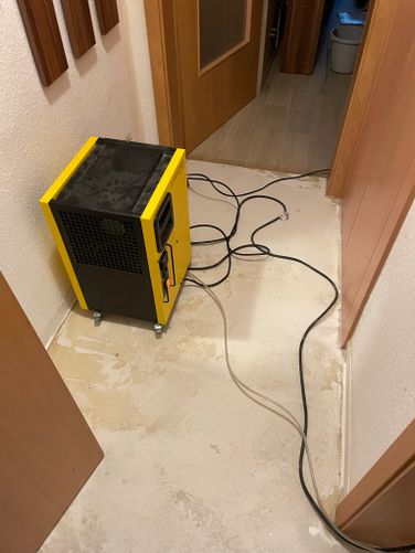 Bautrocknung